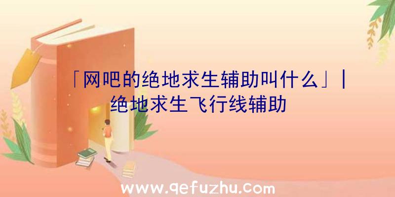 「网吧的绝地求生辅助叫什么」|绝地求生飞行线辅助